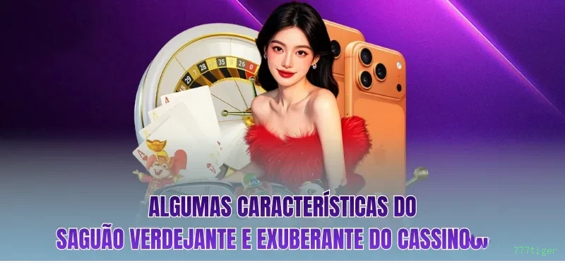 Suporte VIP 777tiger - atendimento prioritário